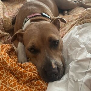 Meet your Posher, Jonna